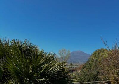 IMG 20260612 WA0124